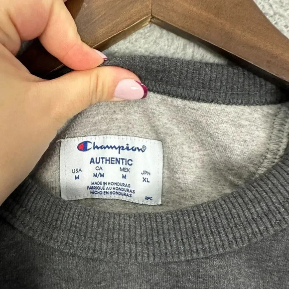 Champion Sweatshirt Mens Medium Gray‎ Pullover Logo Outdoors Gorpcore Dadcore - Picture 3 of 6